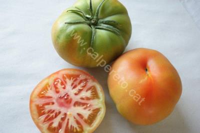 Tomata amanir kg
