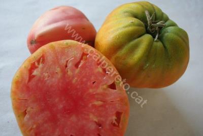 Tomata cor de bou kg
